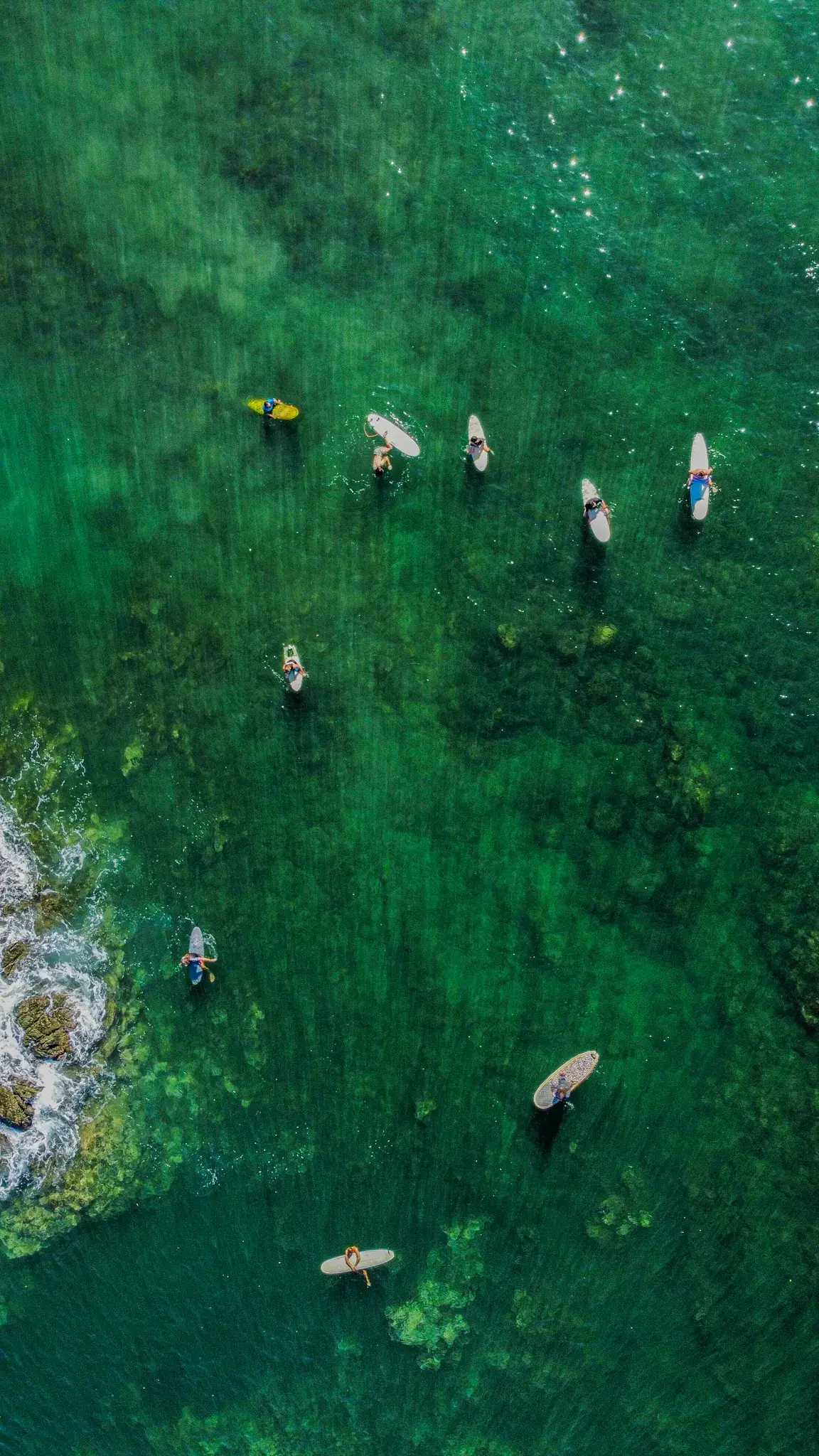 Aerial view of surfers floating on turquoise water