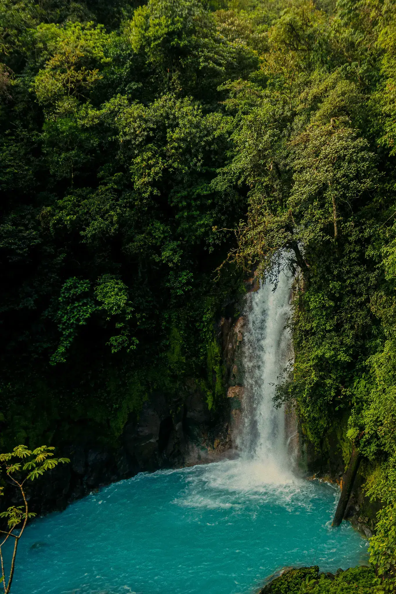 Turquoise waterfall pool surrounded by rainforest